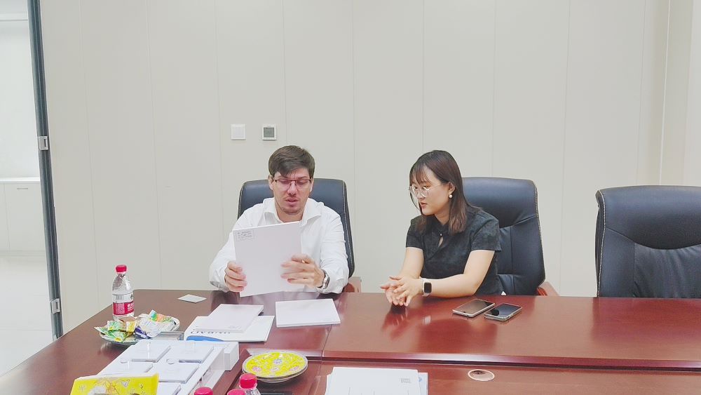 Cliente de reuni&oacute;n (4)